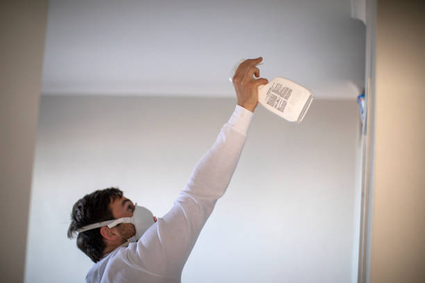 Best Emergency Mold Remediation in Erma, NJ